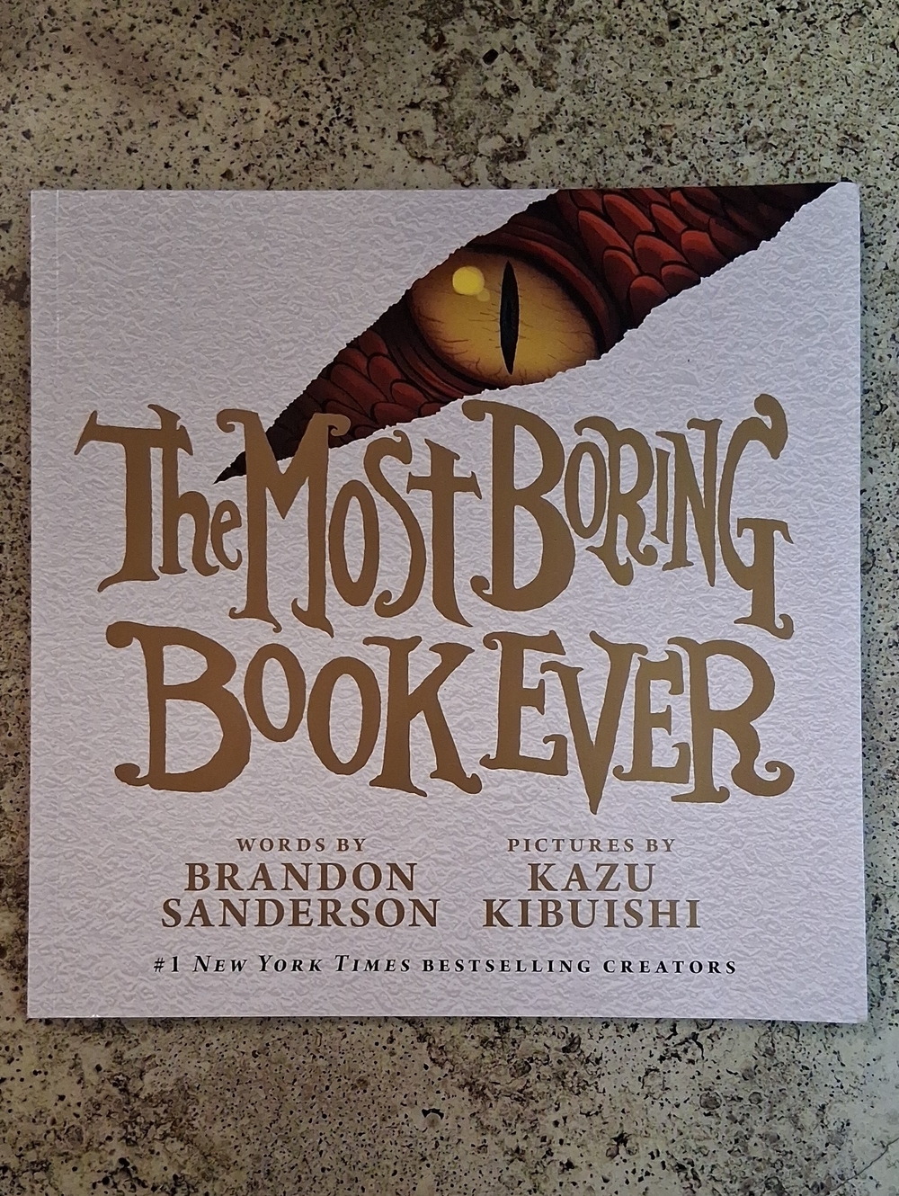 The Most Boring Book Ever By Brandon Sanderson Childrens Picture Book